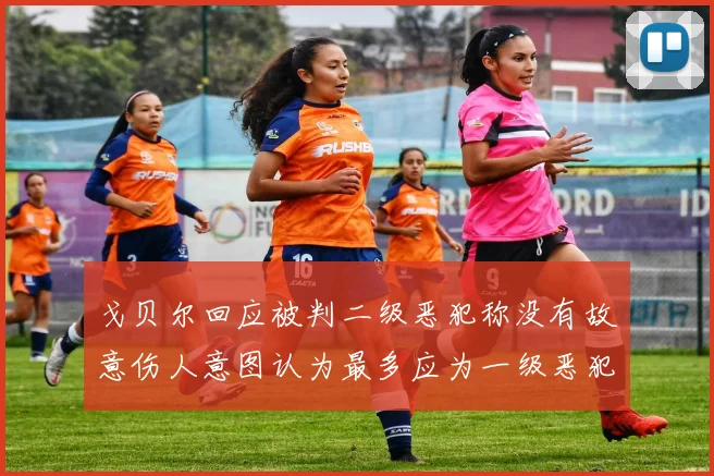 戈贝尔回应被判二级恶犯称没有故意伤人意图认为最多应为一级恶犯