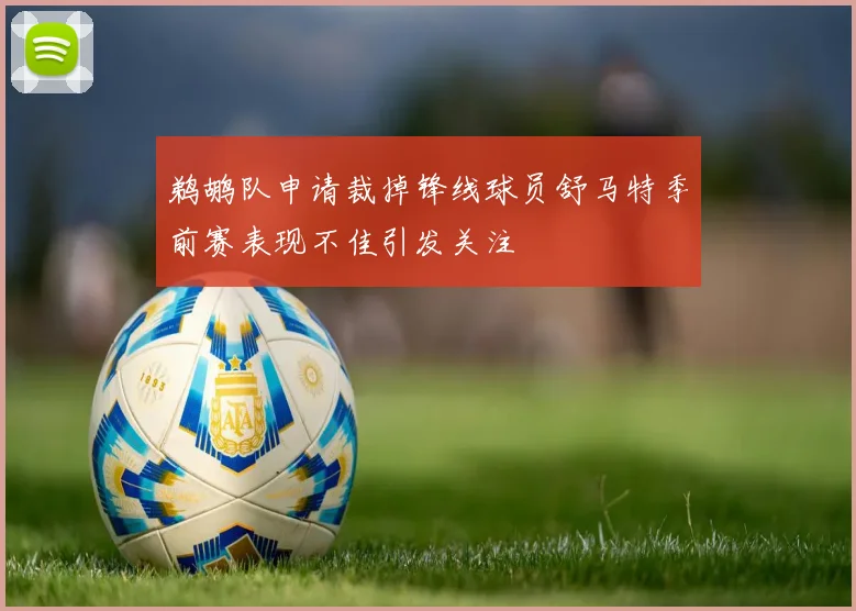 鹈鹕队申请裁掉锋线球员舒马特季前赛表现不佳引发关注