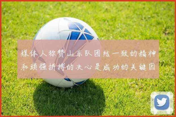 媒体人称赞山东队团结一致的精神和顽强拼搏的决心是成功的关键因素
